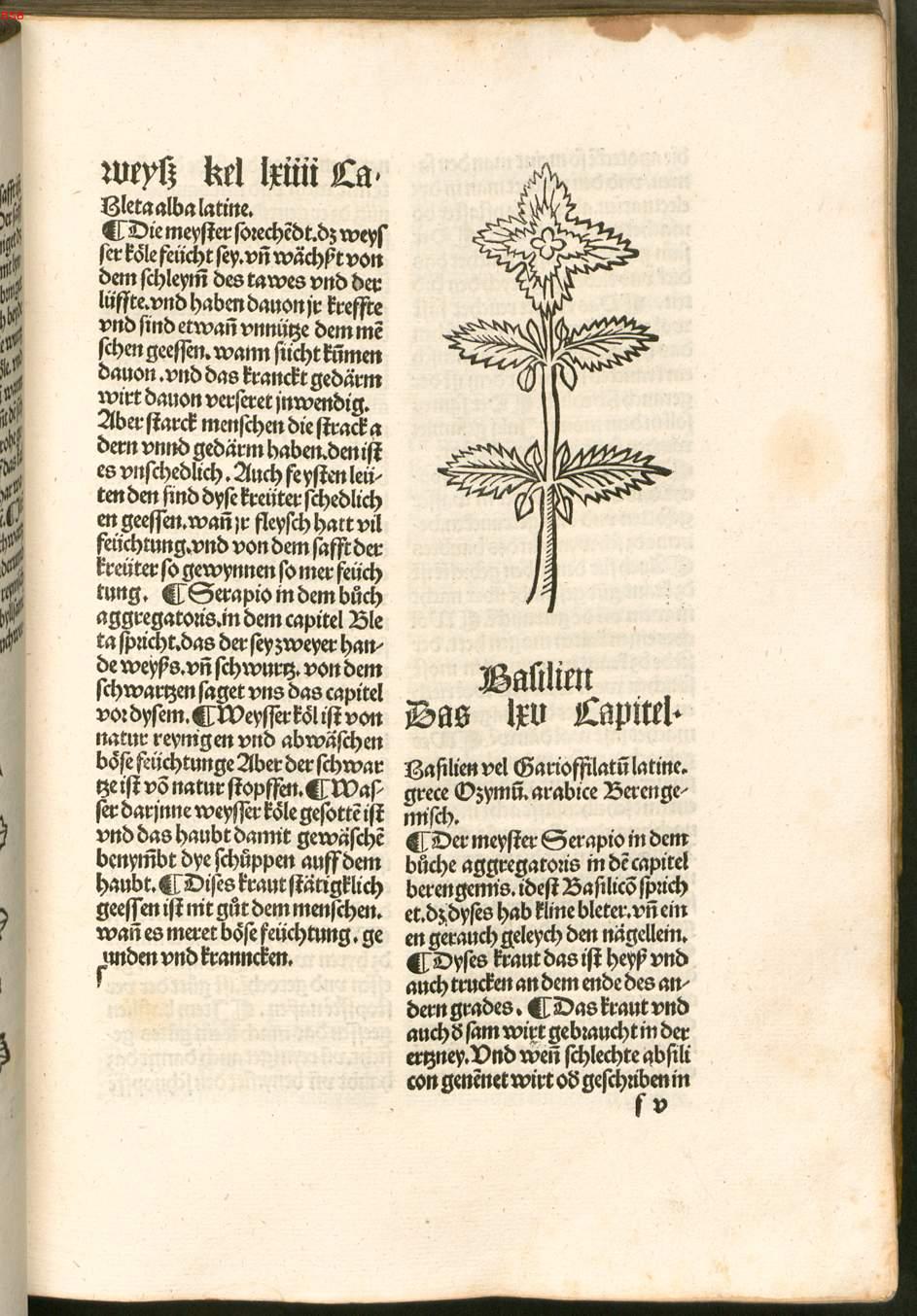 Image 00102