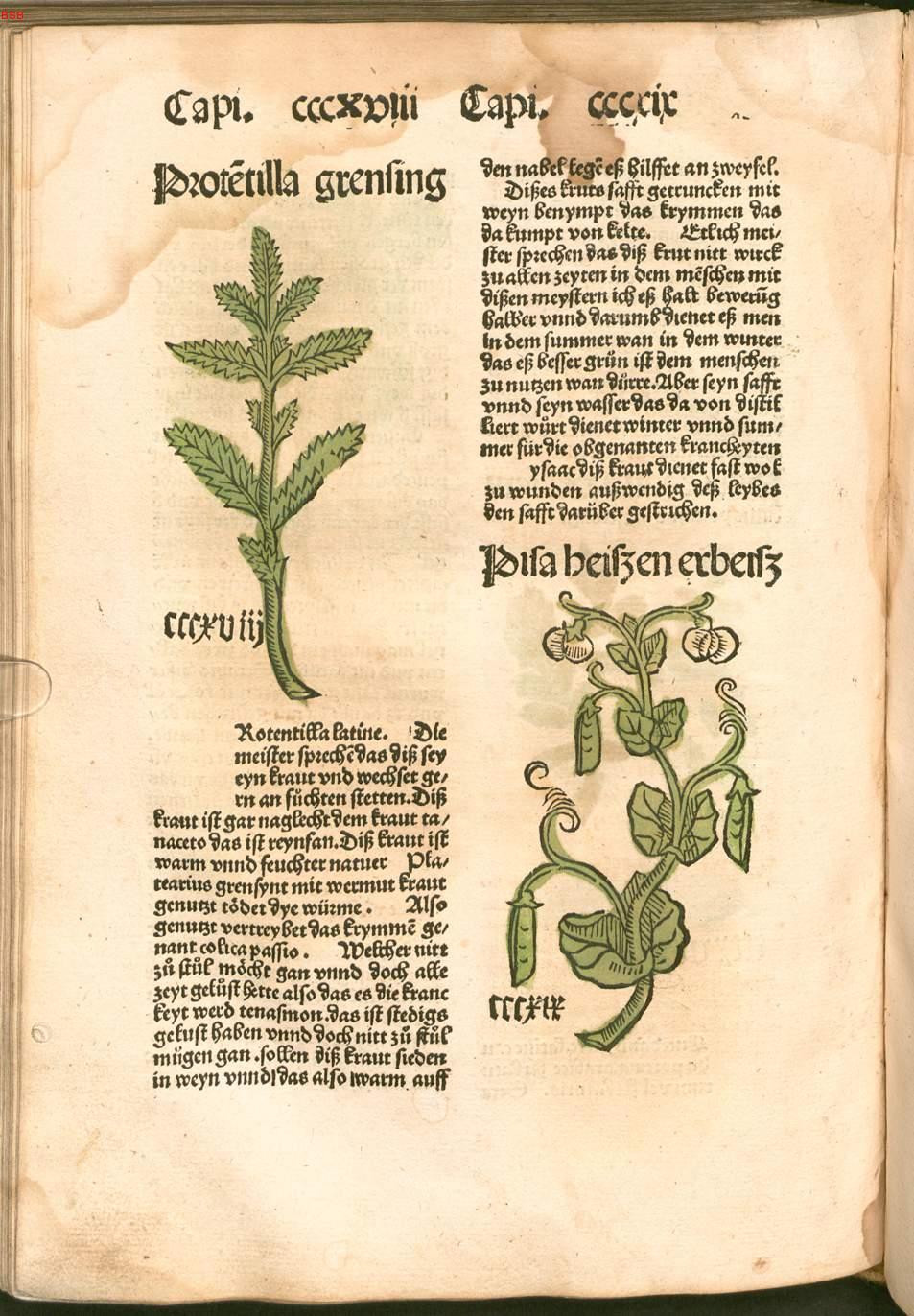 Image 00316