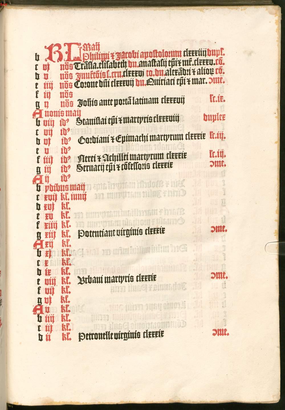 Image 00012