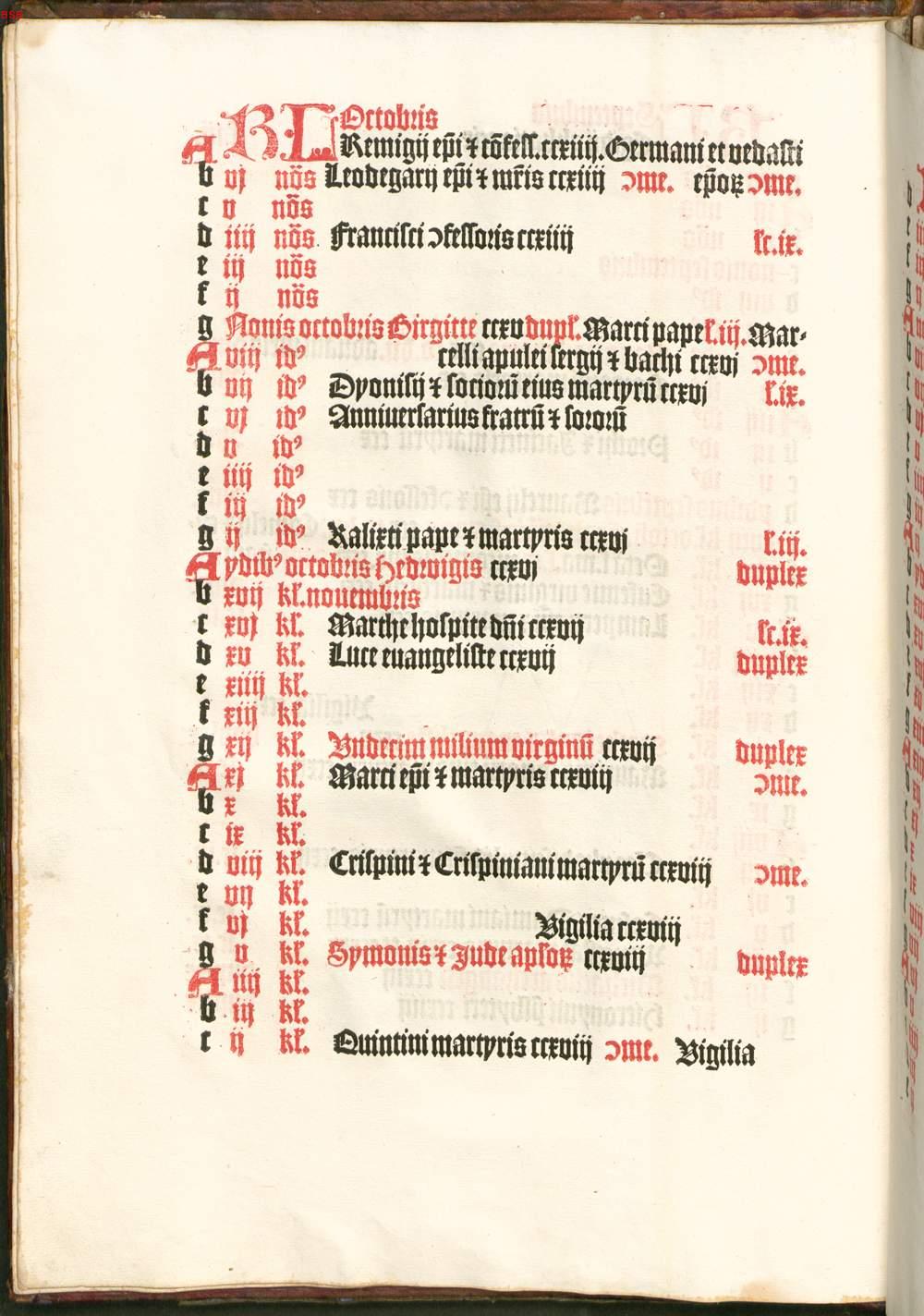 Image 00017