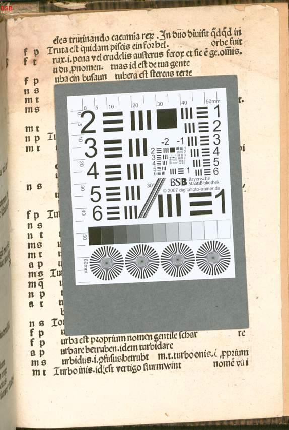 Image 00313
