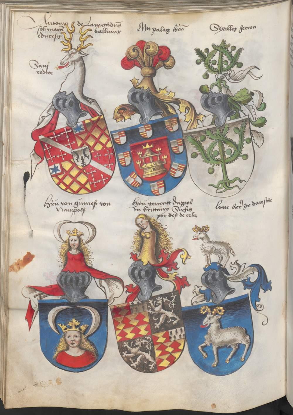 Image 00235