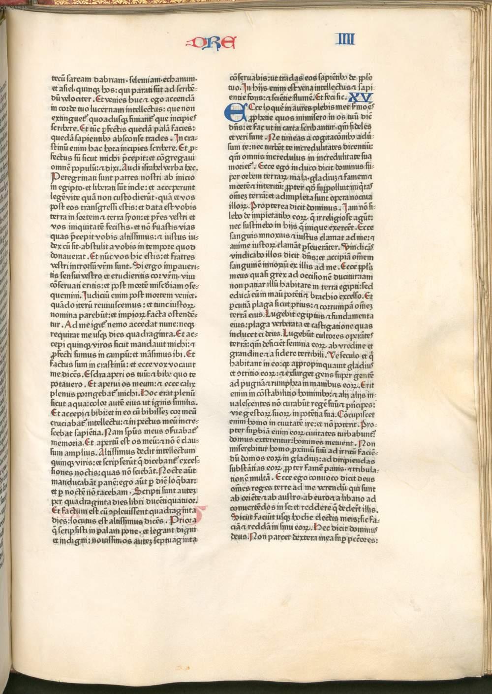 Image 00397