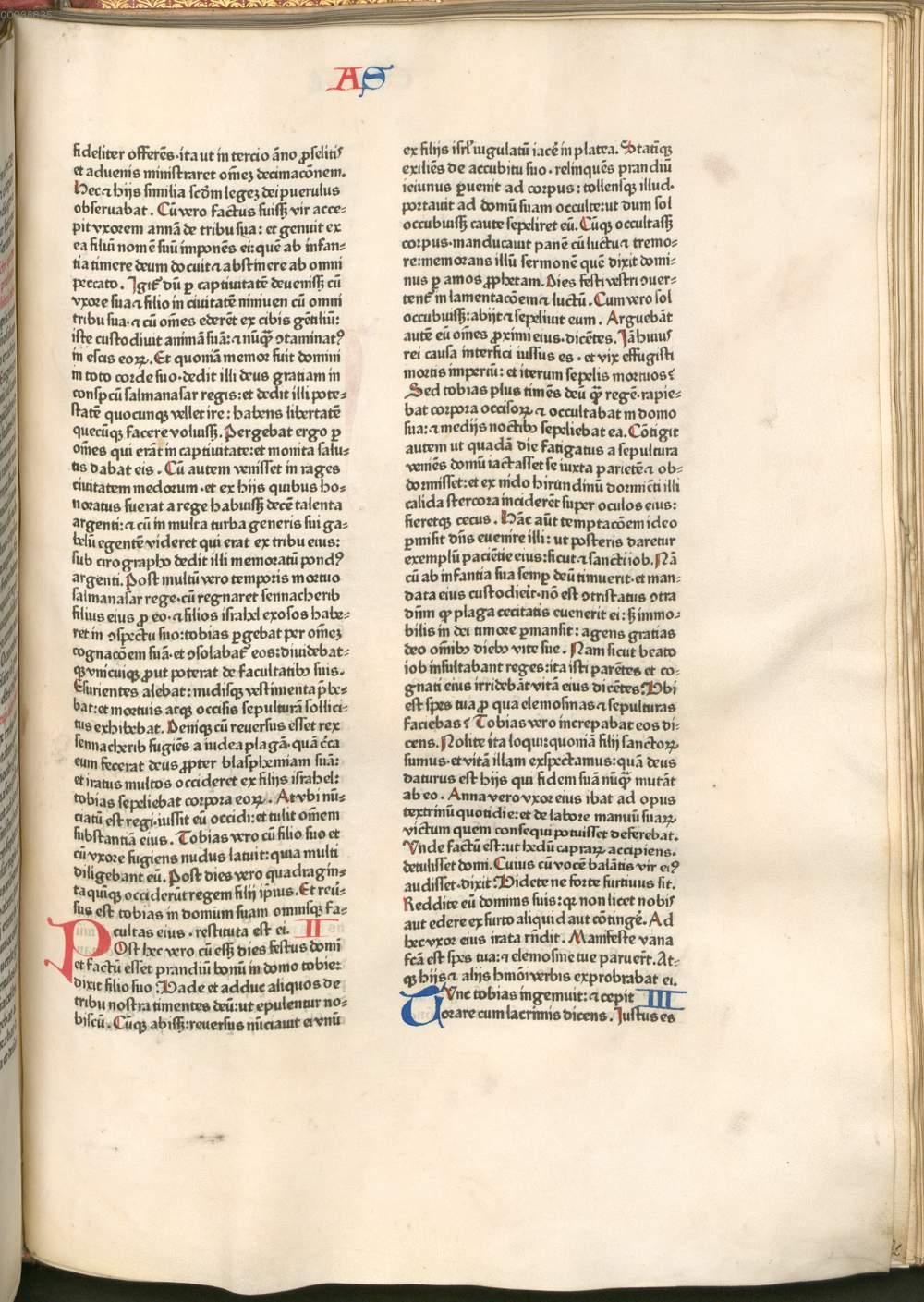 Image 00401