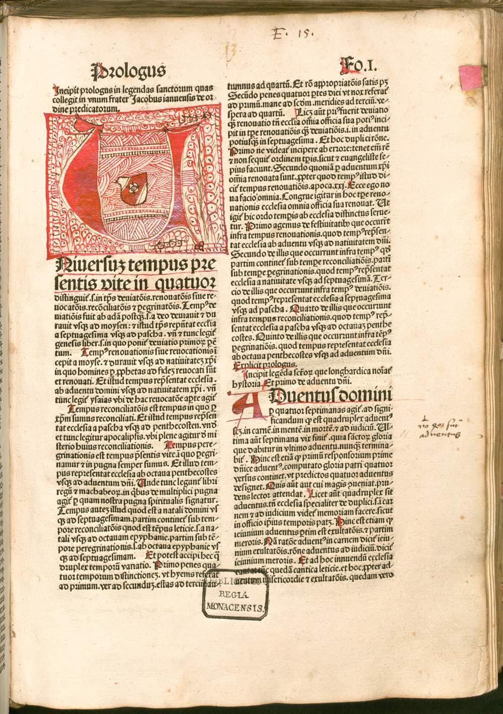 Image 00007