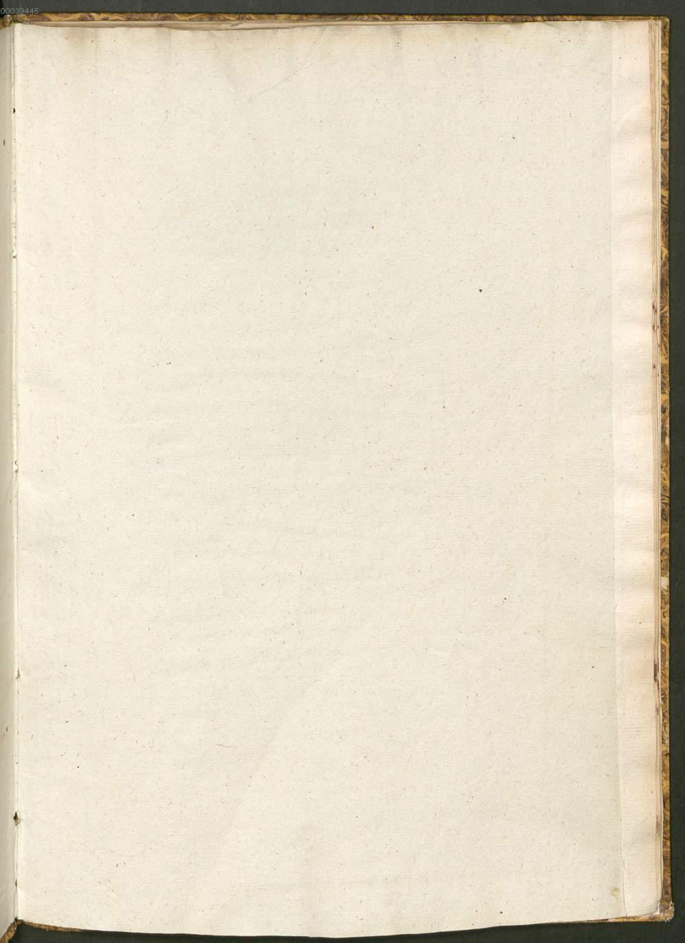 Image 00003