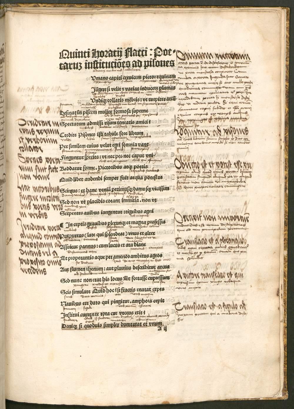 Image 00007