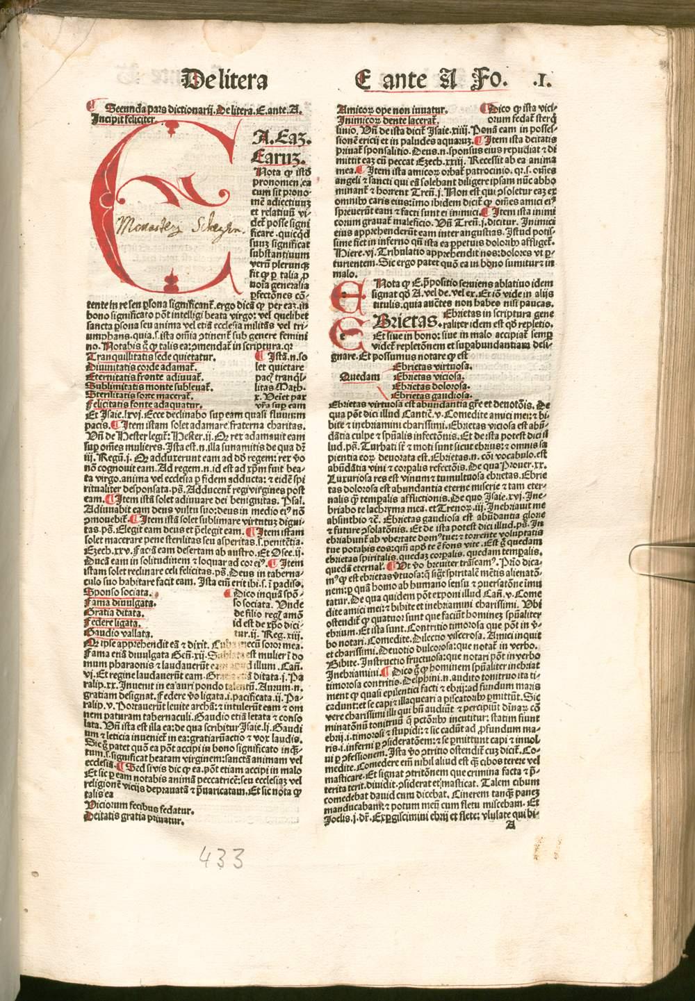 Image 00005