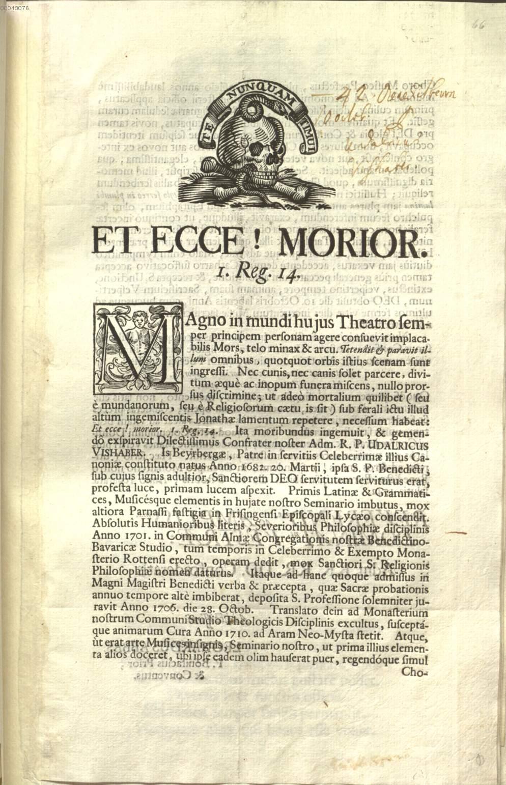 Image 00133