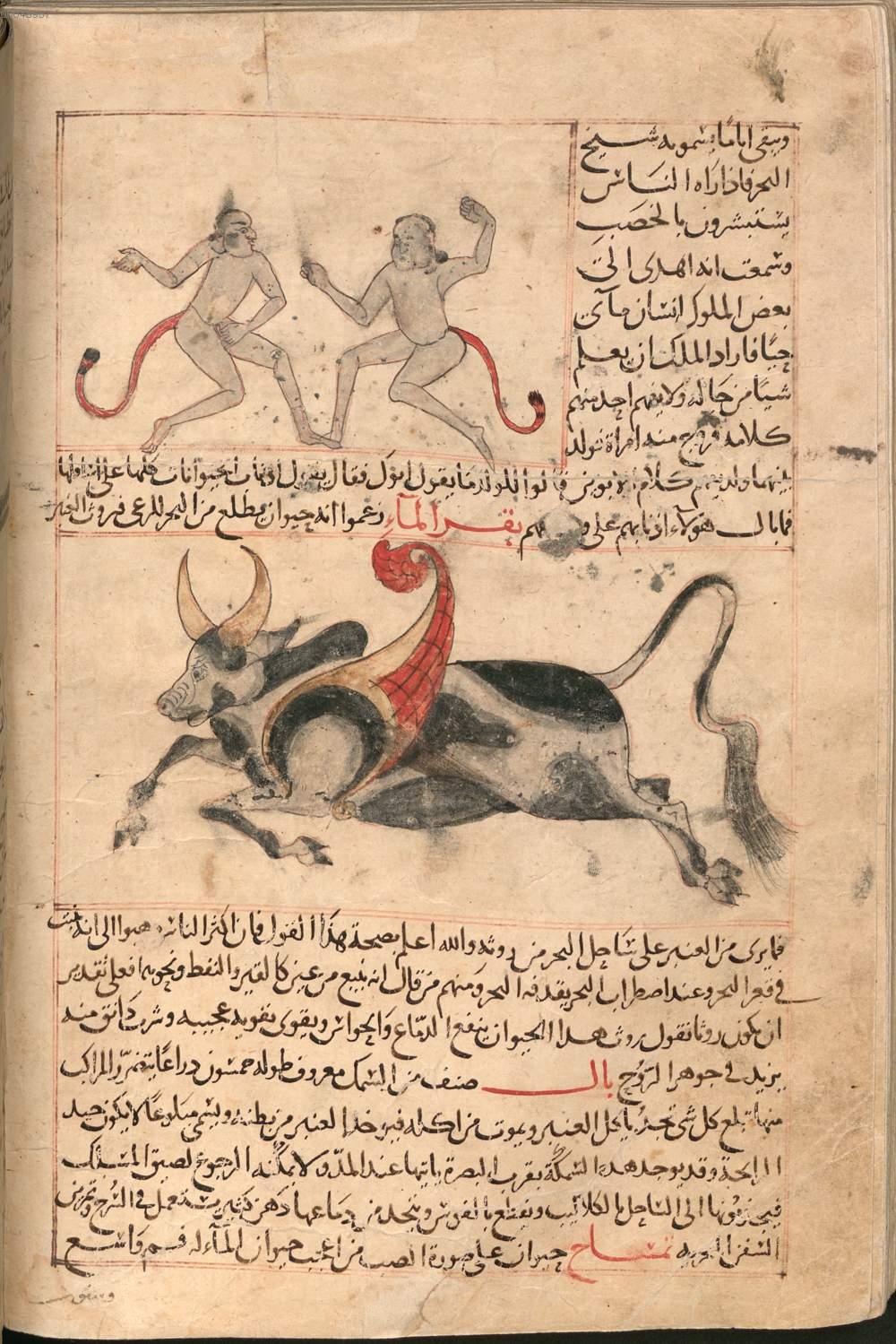 Image 00149