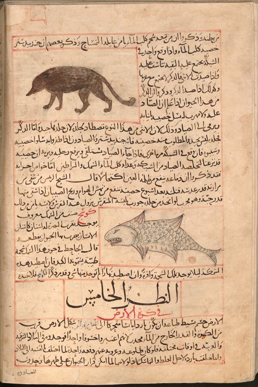 Image 00161