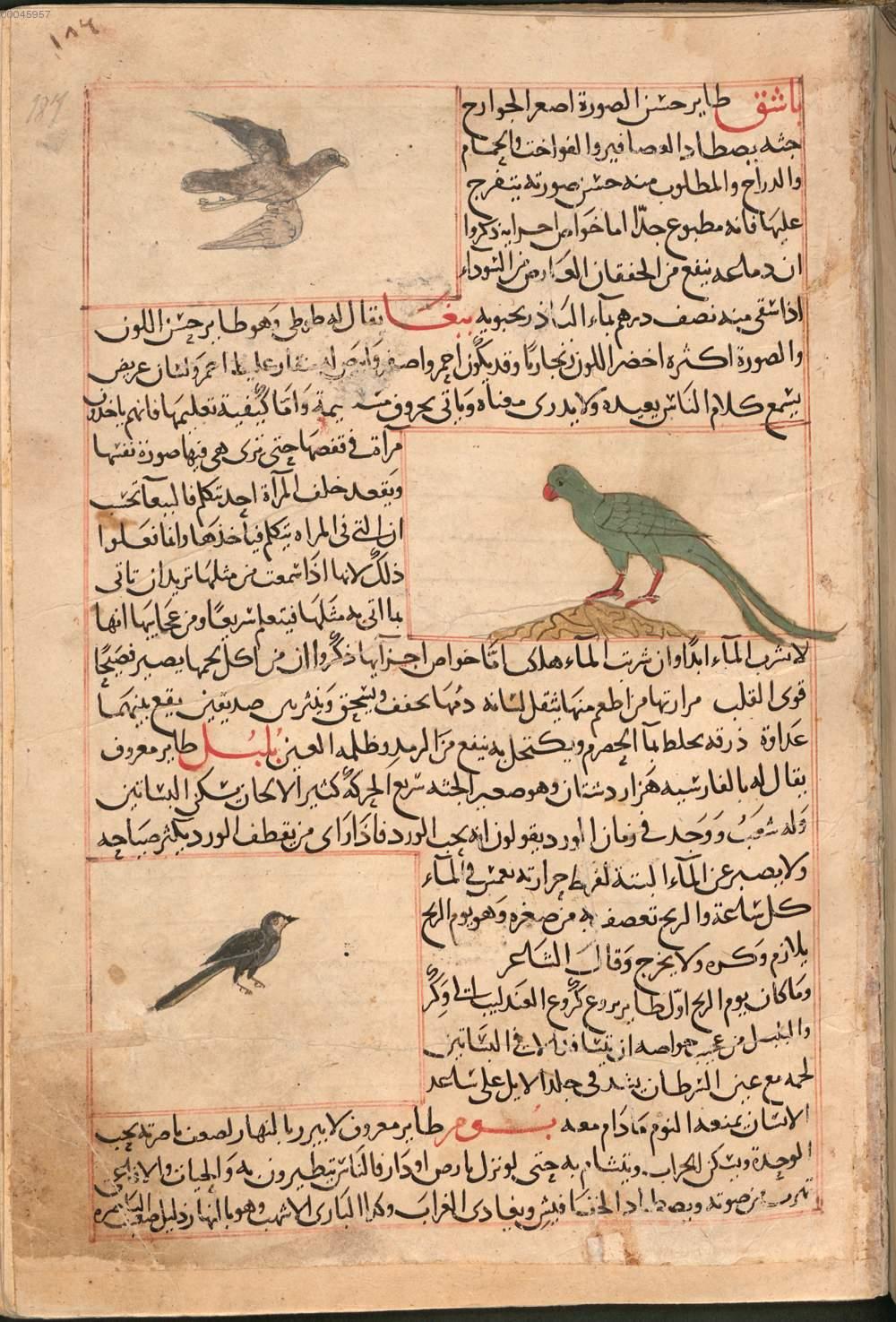 Image 00380