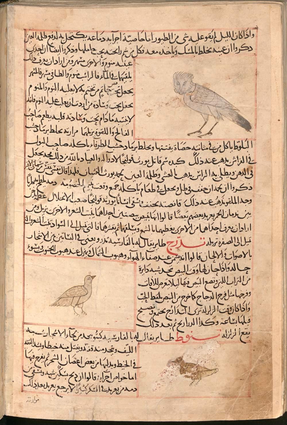 Image 00381
