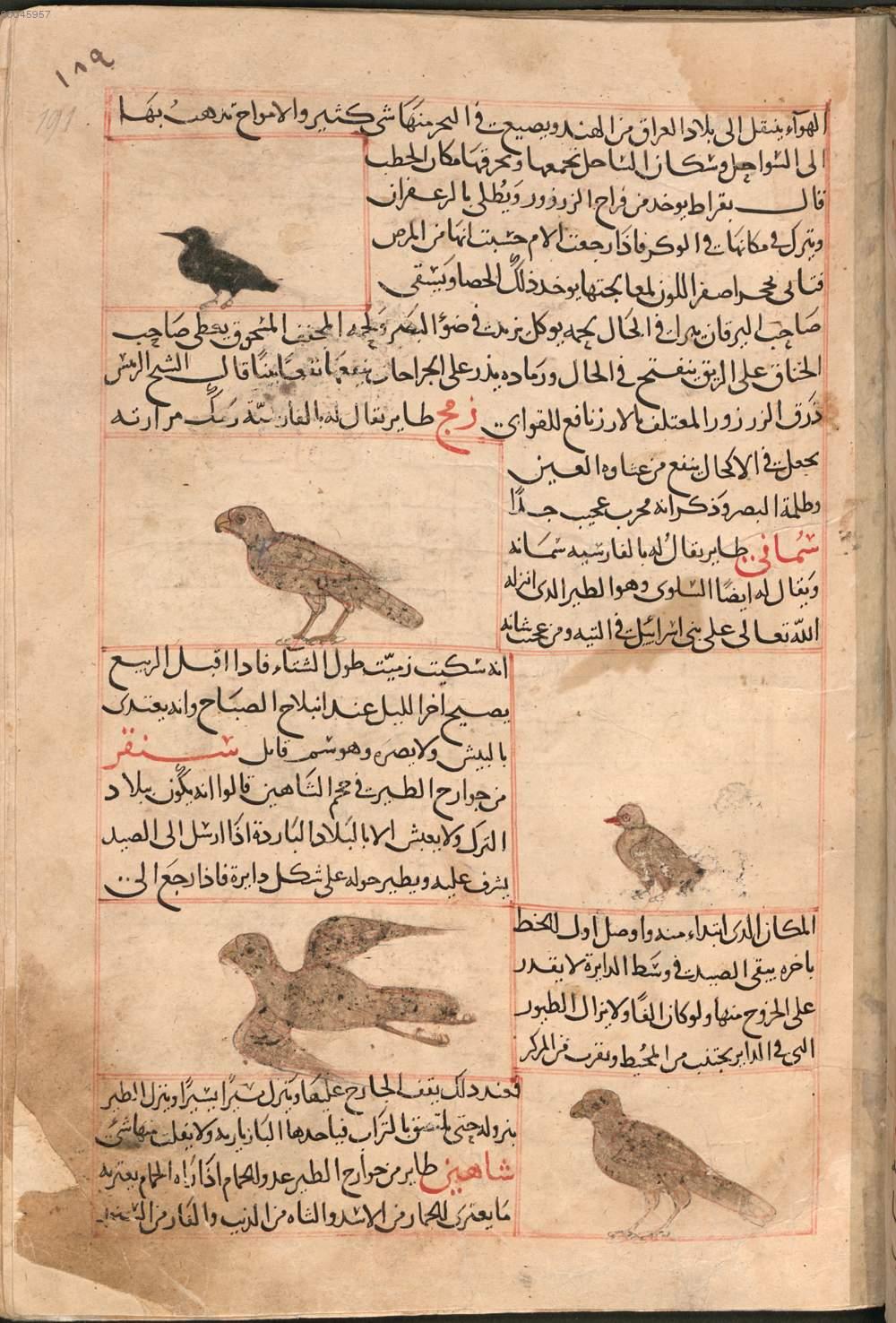 Image 00388