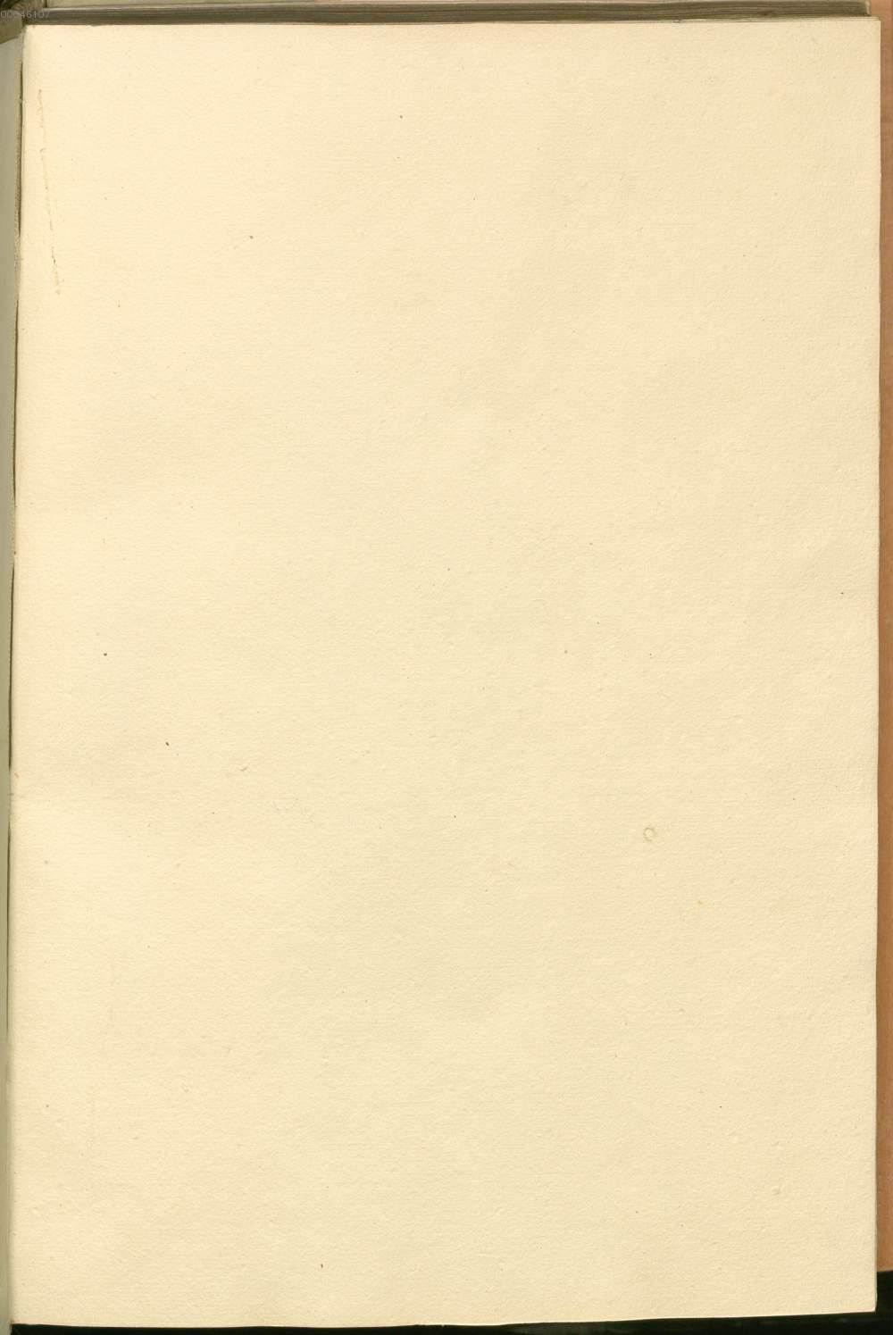 Image 00003