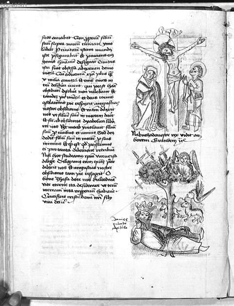 Image 00074