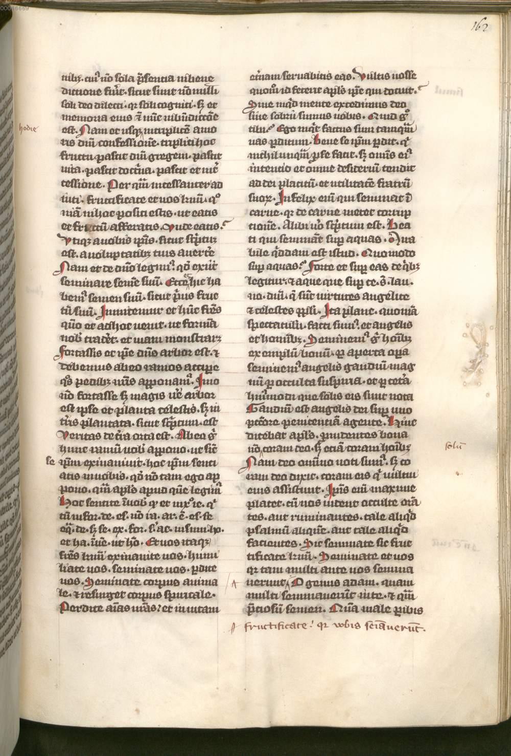 Image 00325