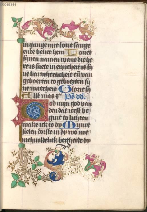 Image 00073
