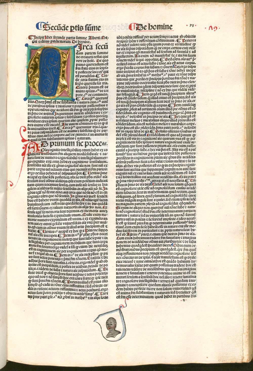 Image 00003