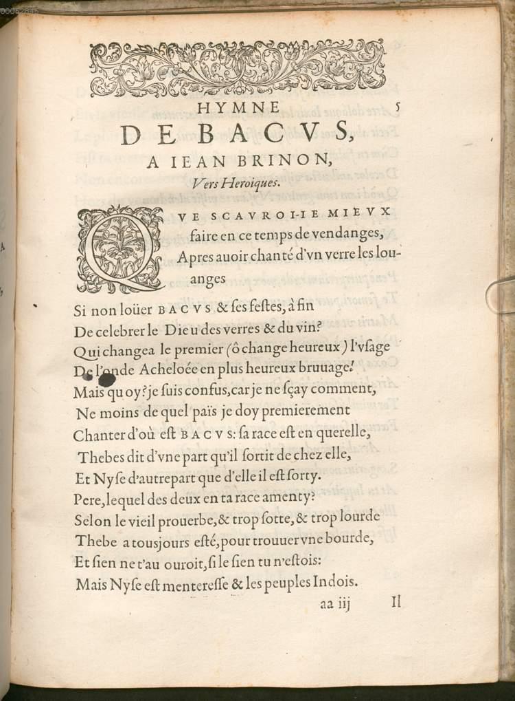 Image 00005