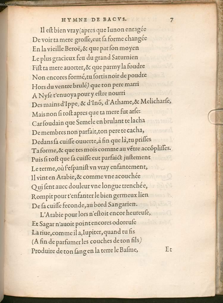 Image 00007