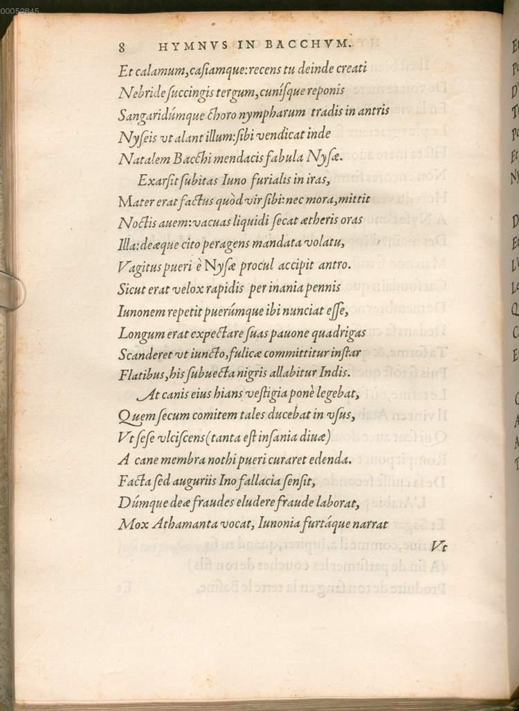 Image 00008