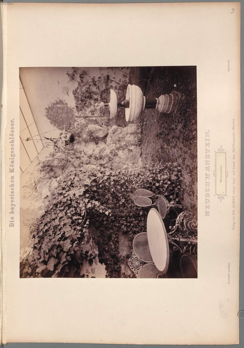 Image 00021