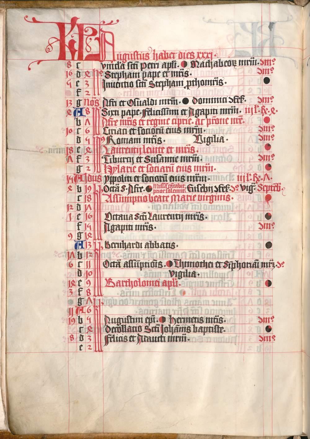 Image 00012