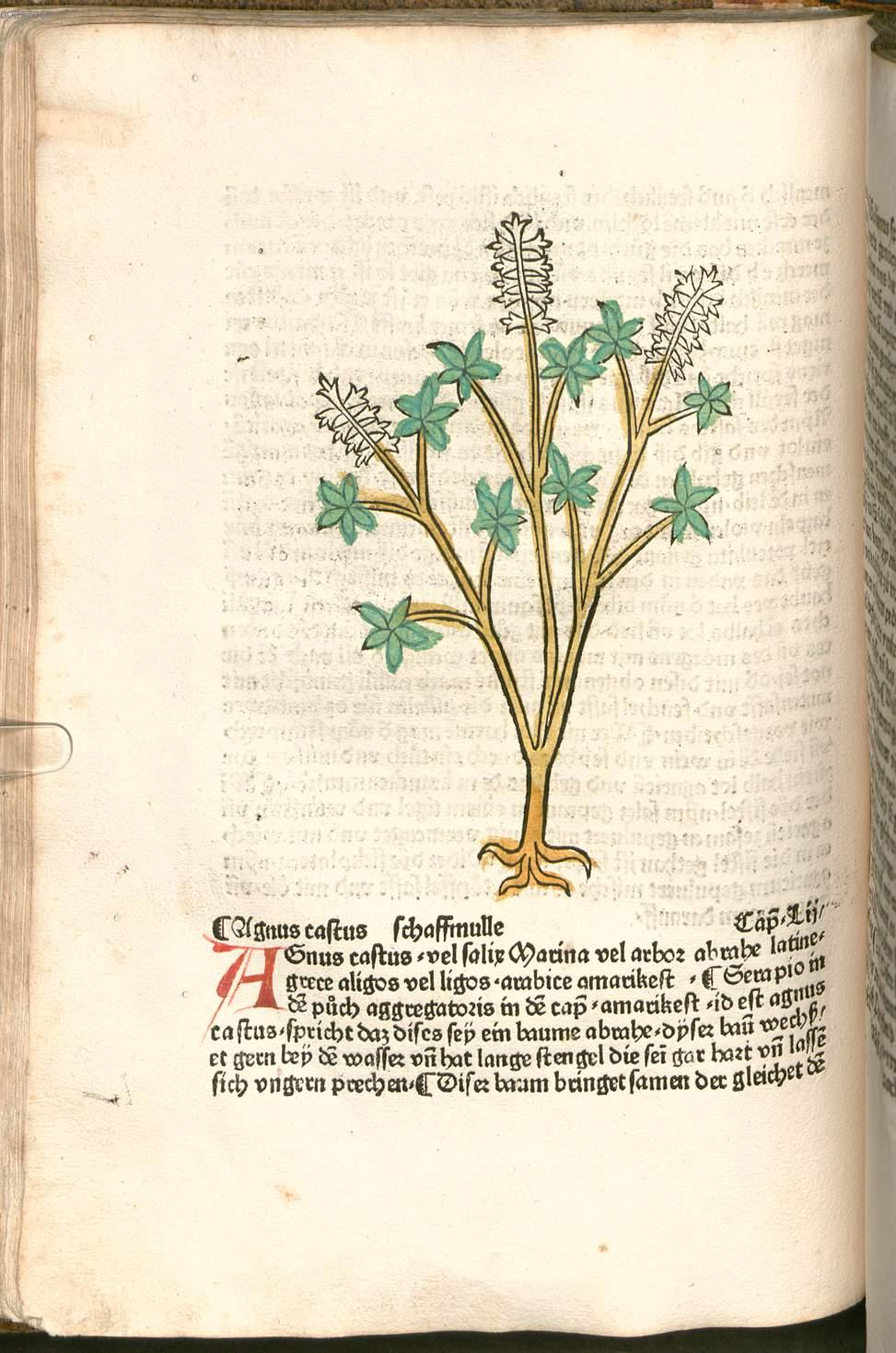 Image 00108