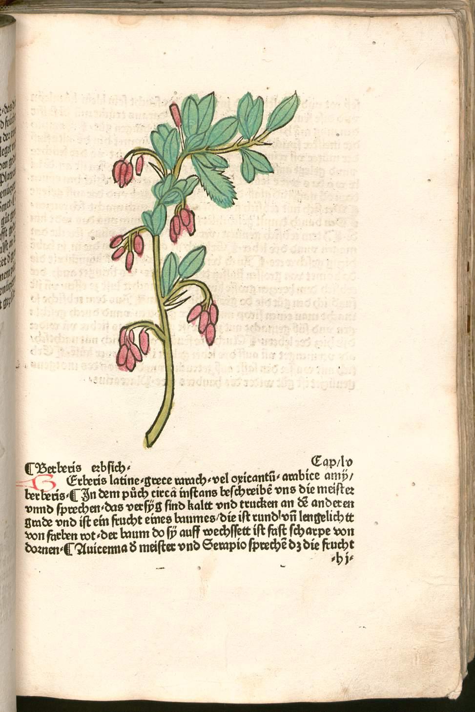 Image 00115