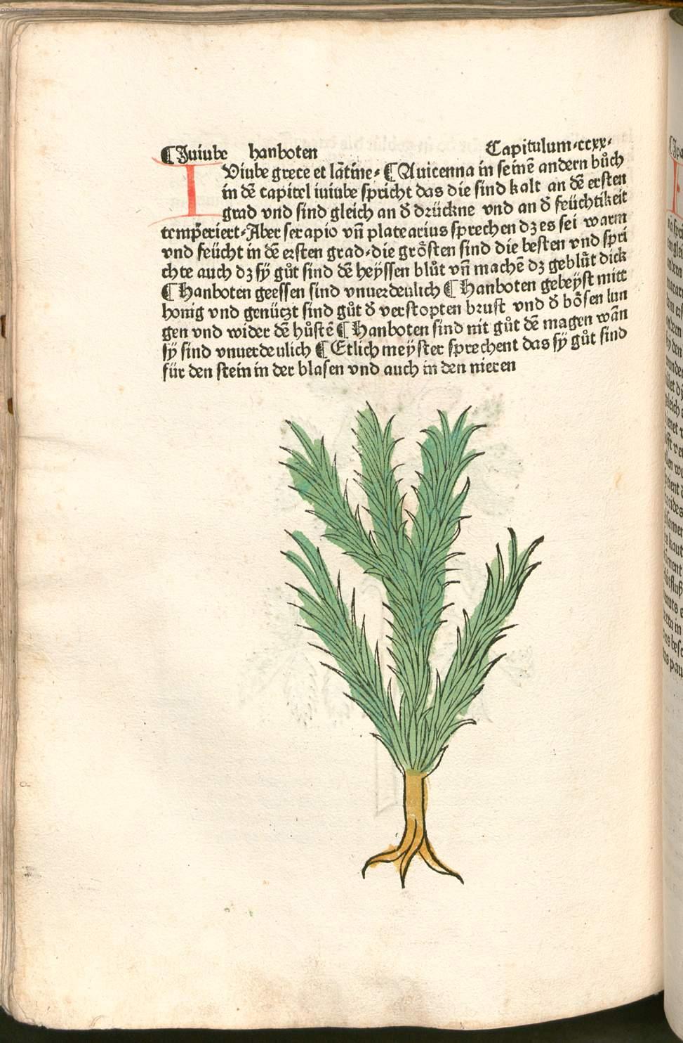 Image 00366