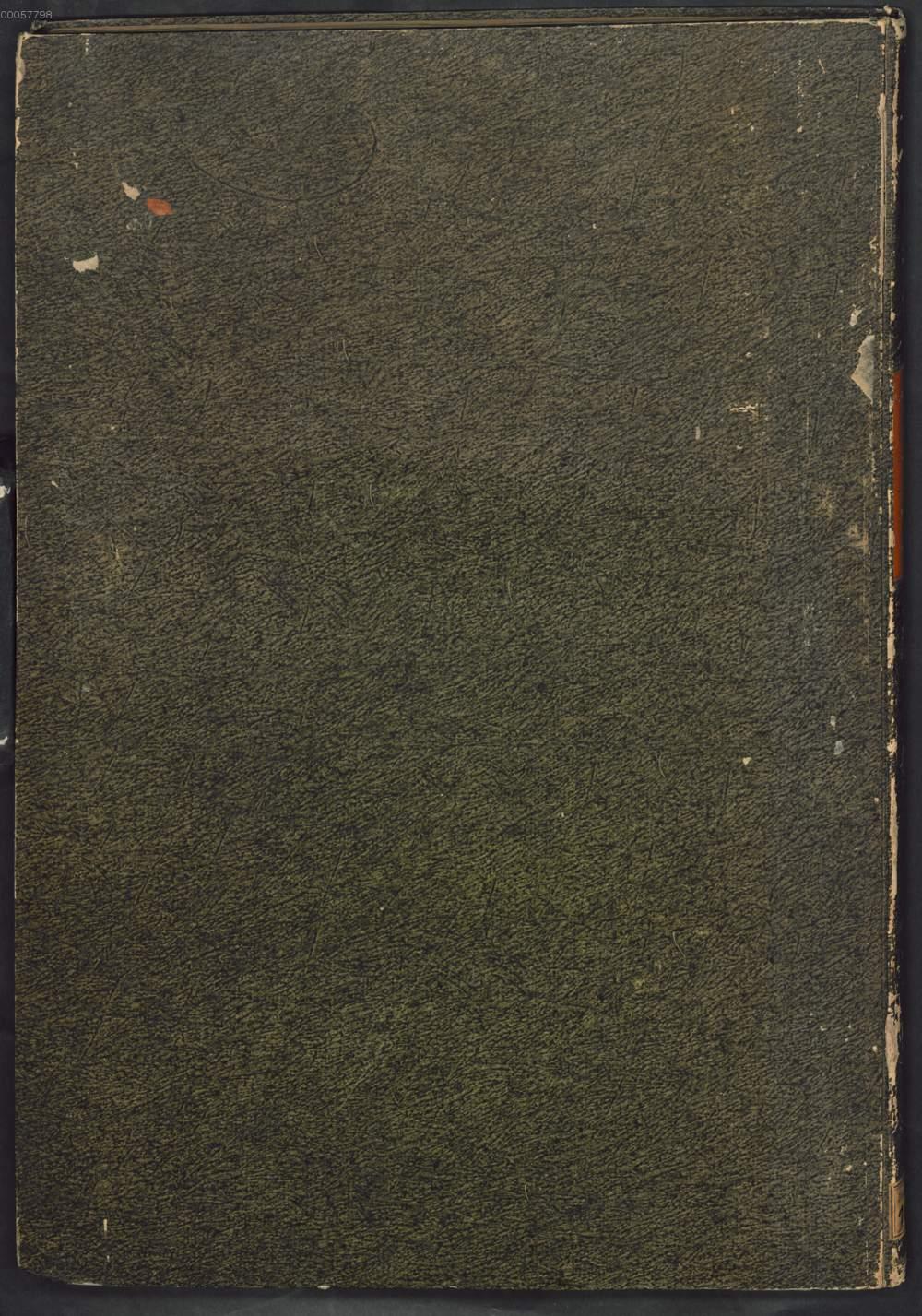 Image 00100