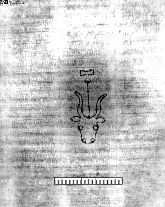 Image 00020