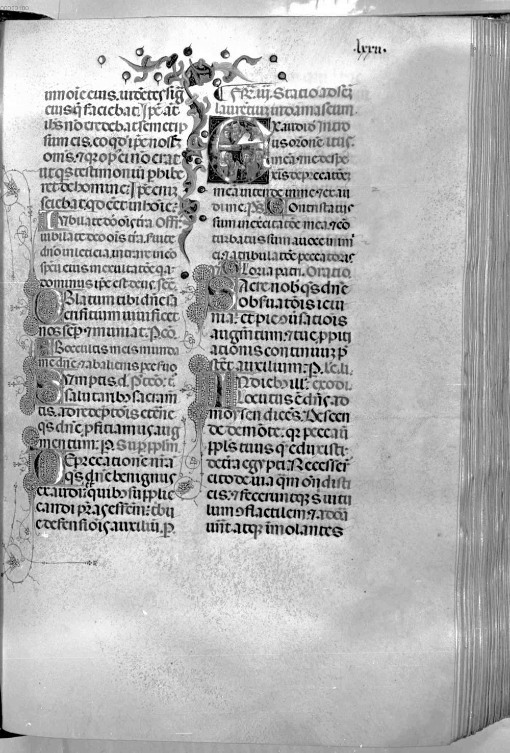 Image 00162