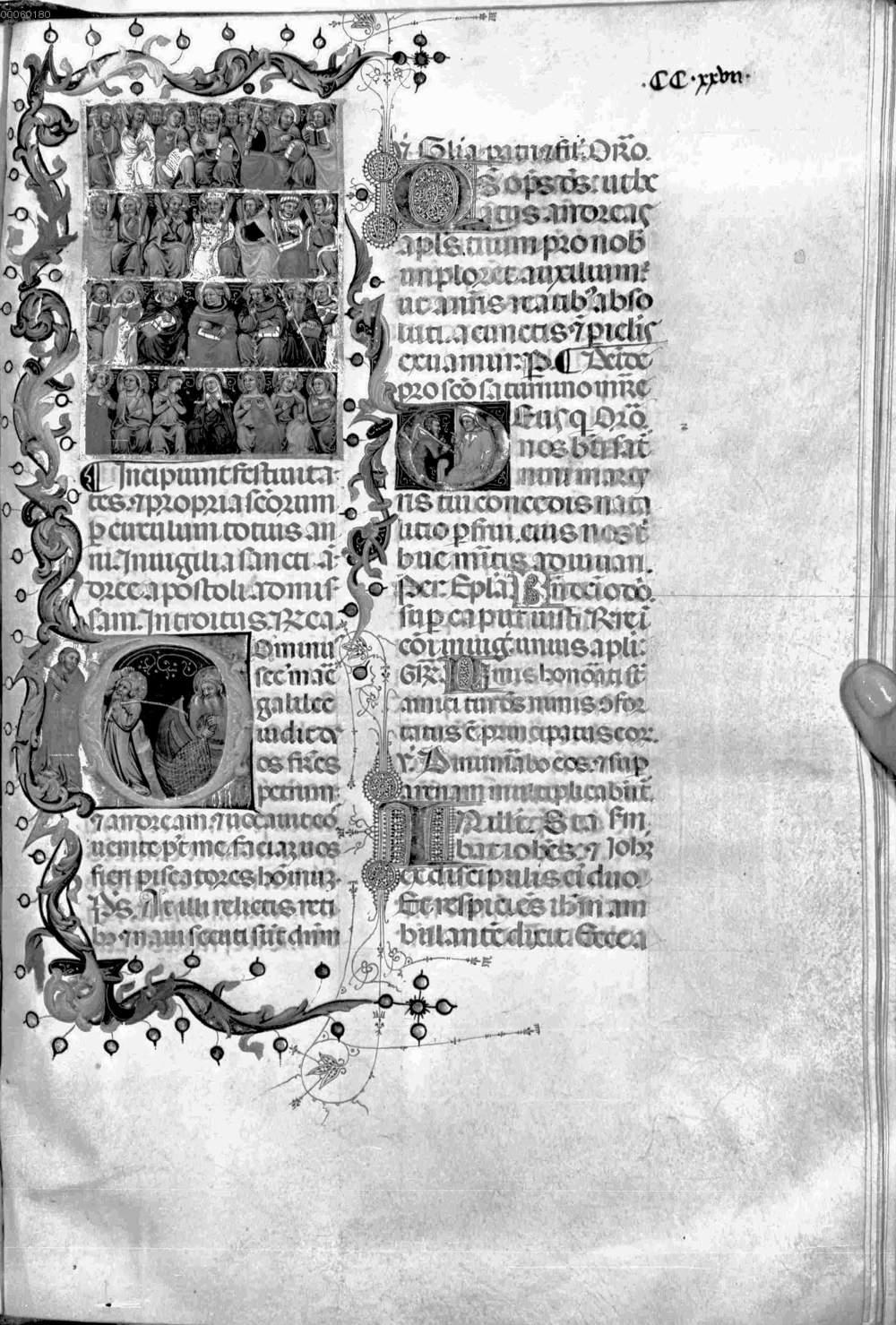 Image 00524