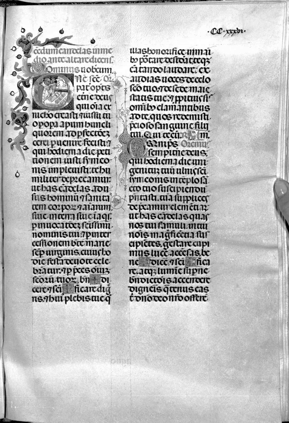 Image 00542