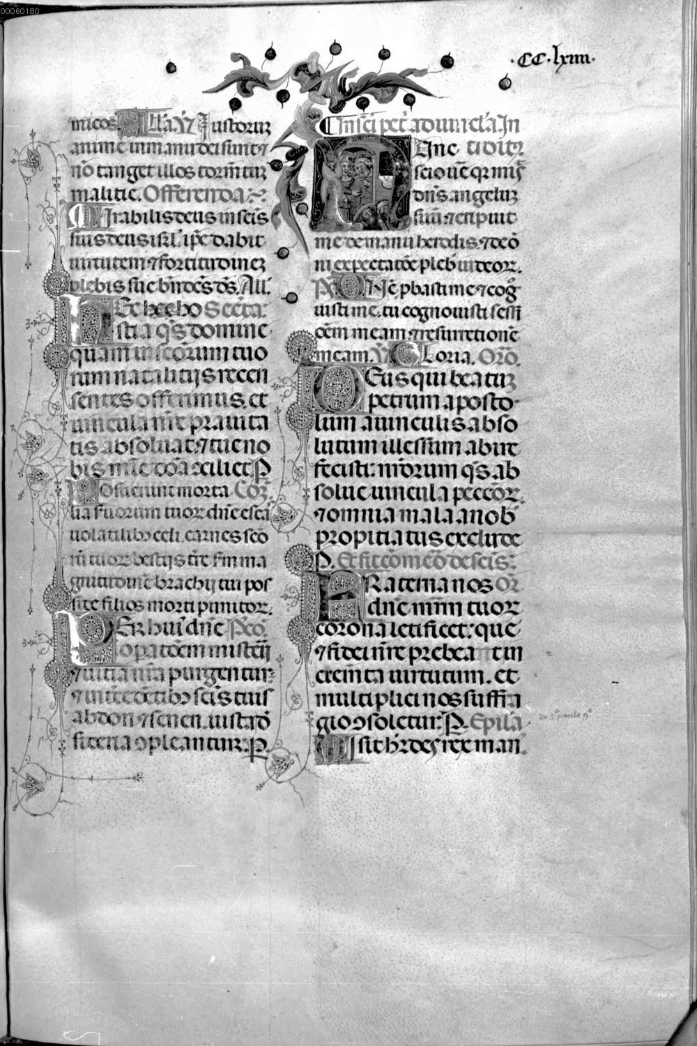 Image 00602