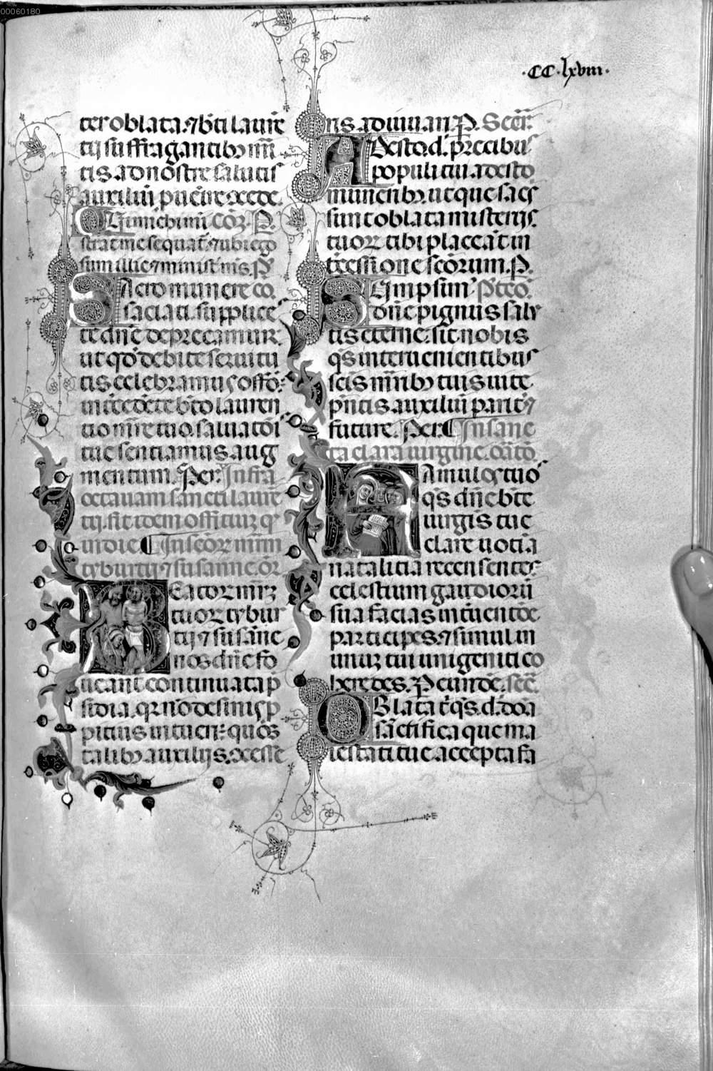 Image 00610
