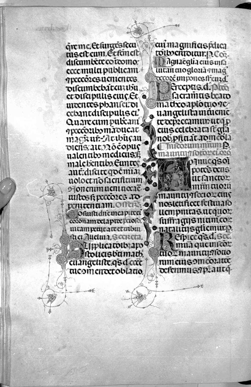 Image 00635