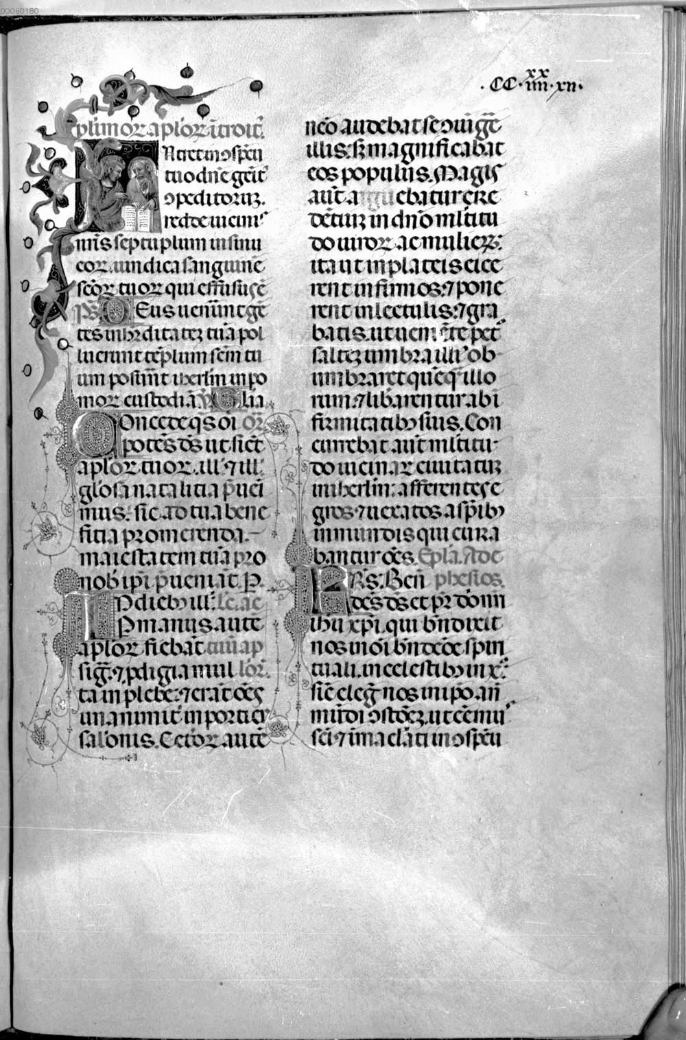 Image 00662