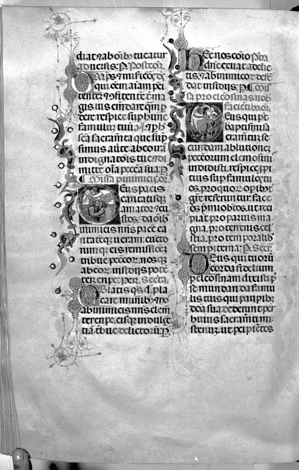 Image 00751