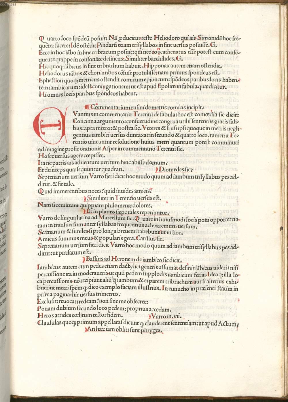 Image 00649