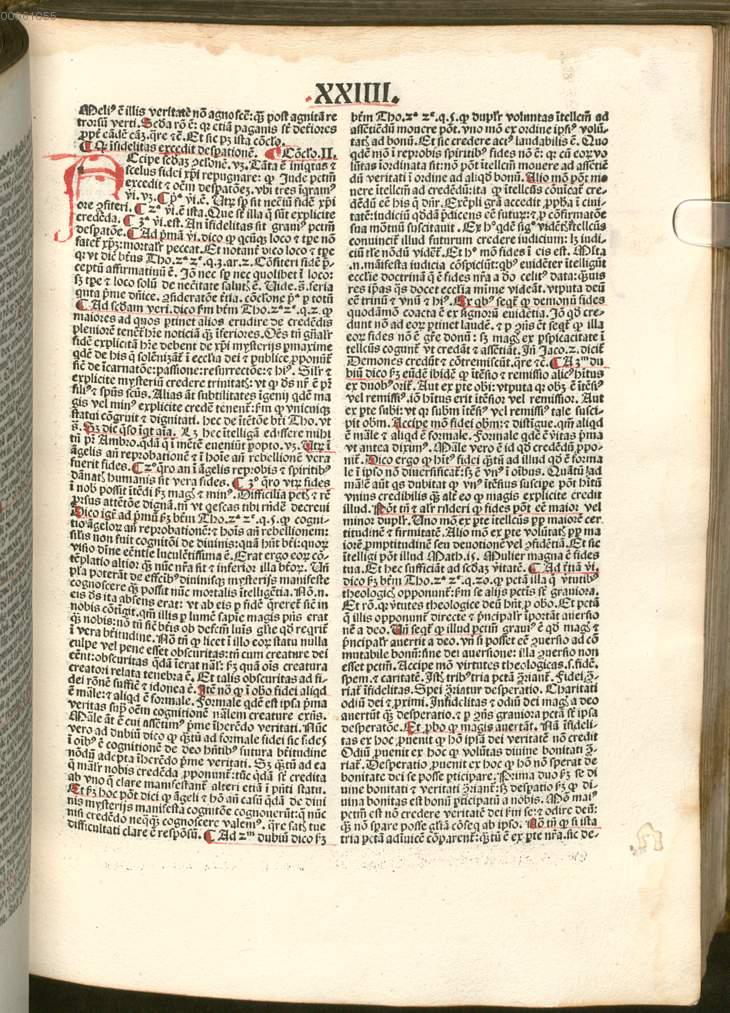 Image 00305