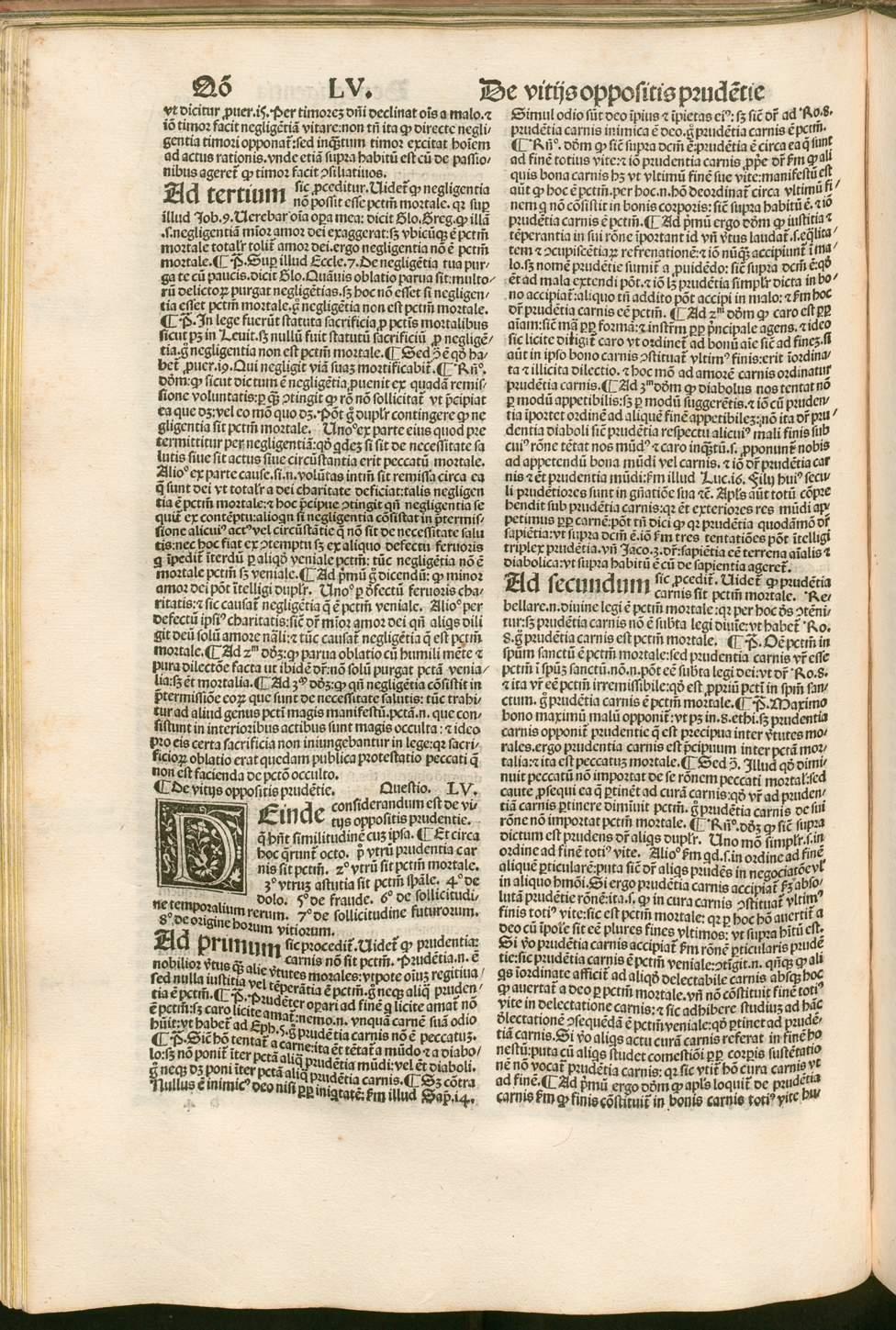 Image 00136