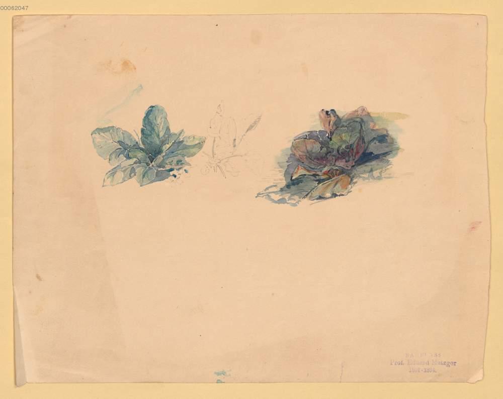 Image 00001
