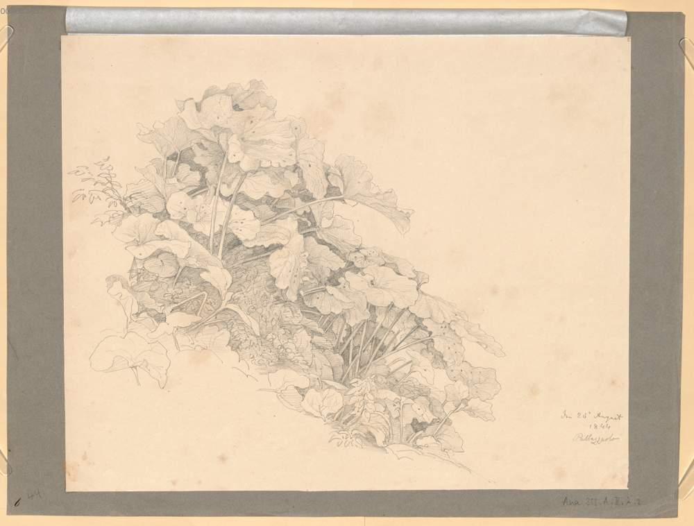 Image 00002