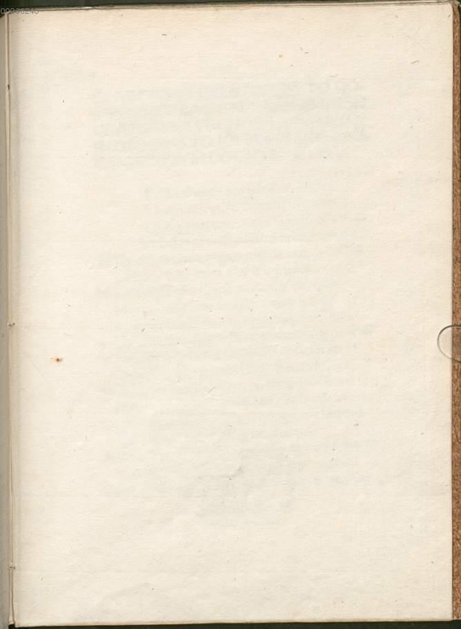 Image 00003