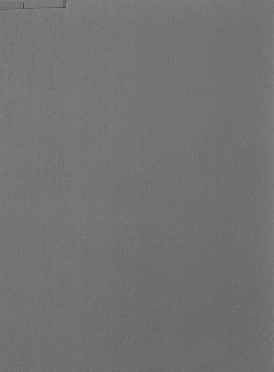 Image 00004