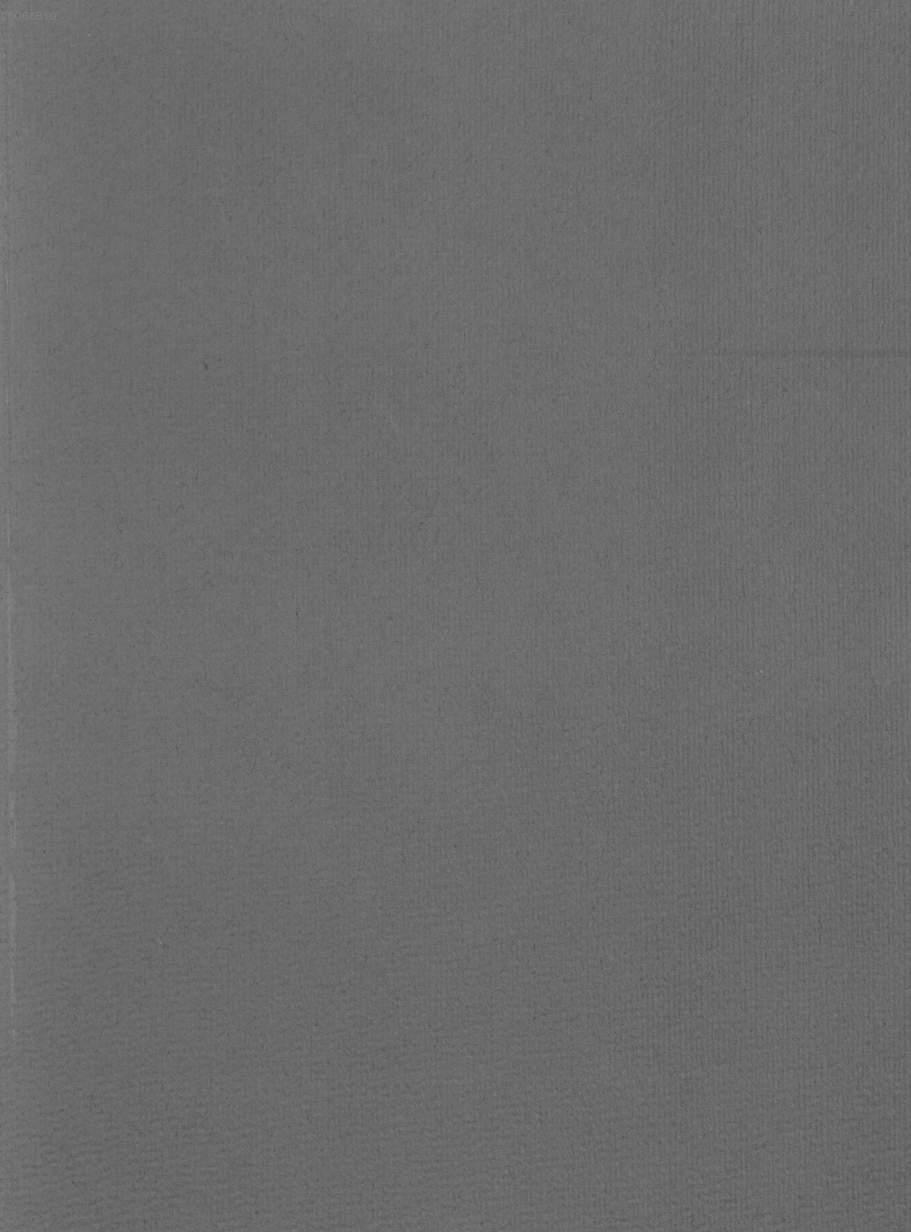 Image 00241