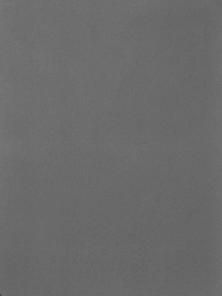 Image 00242